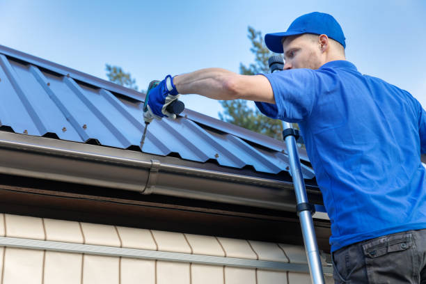 Best Storm Damage Roof Repair  in Mount Pulaski, IL