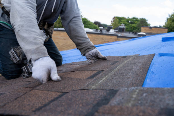 Best Storm Damage Roof Repair  in Mount Pulaski, IL