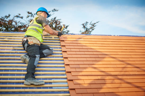 Gutter Replacement in Mount Pulaski, IL